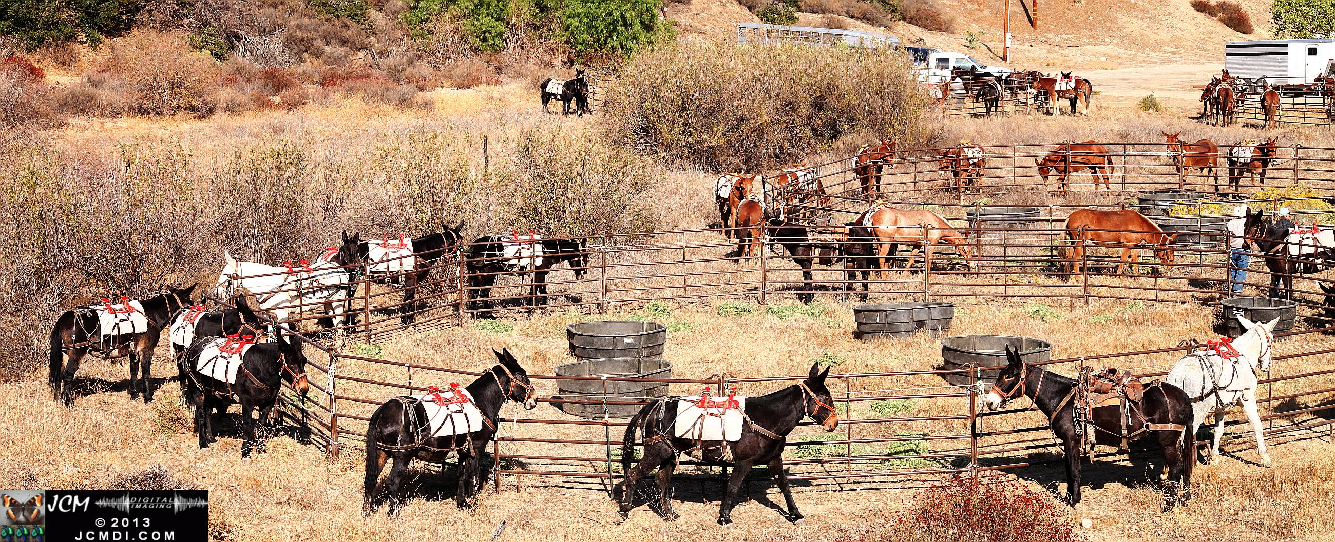 100 Mule Team at Whitney Canyon